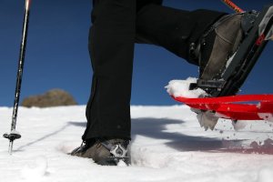 Passeggiate invernali